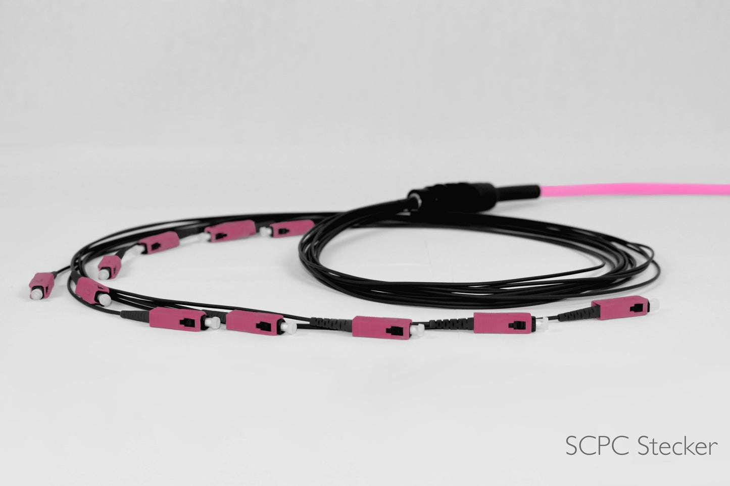 Aufteilerkonfektion für Bündeladerkabel, 24 Fasern, Multimode