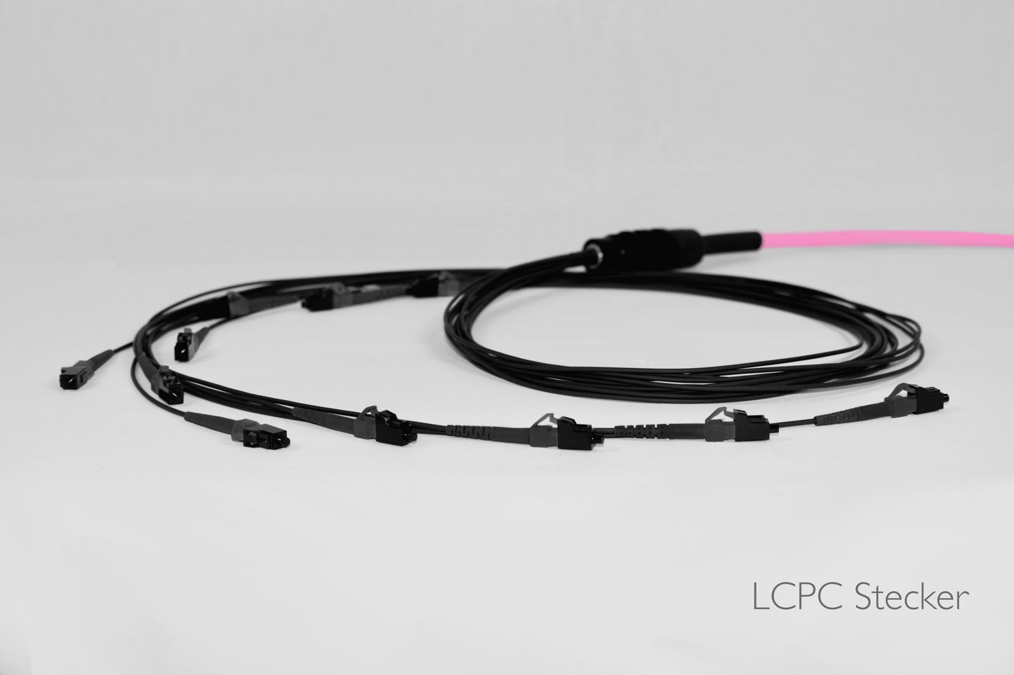 Aufteilerkonfektion für Bündeladerkabel, 24 Fasern, Multimode