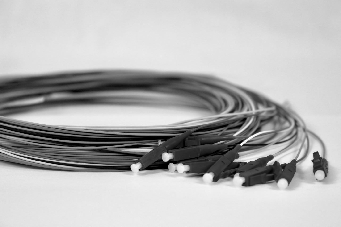 Pigtail-Set, 12xLCPC, 50/125µm OM4, schwarz, 2.0m