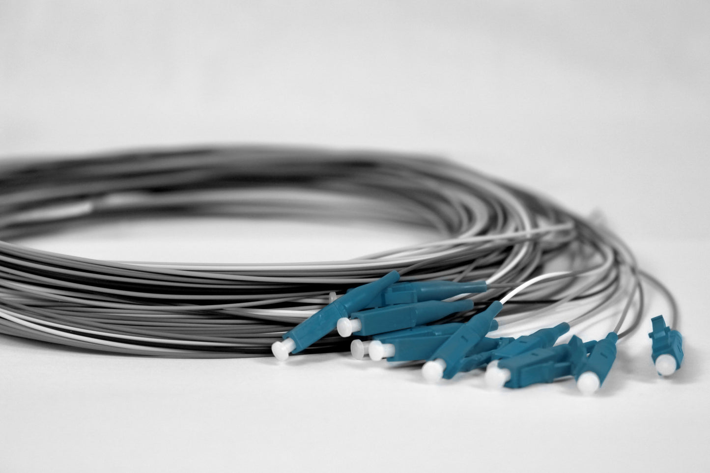 Pigtail-Set, 12xLCPC, 9/125µm, blau, 2.0m