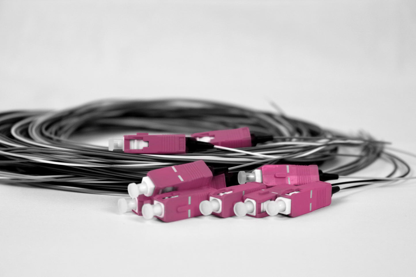 Pigtail-Set, 12xSCPC, 50/125µm OM4, magenta, 2.0m